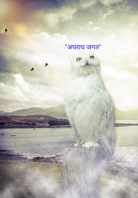 अपराध जगत