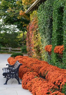 વસંતના વધામણાં