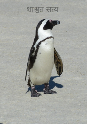 शाश्वत सत्य