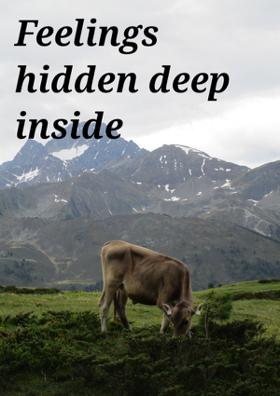 Feelings Hidden Deep Inside