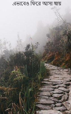 এভাবেও ফিরে আসা যায়
