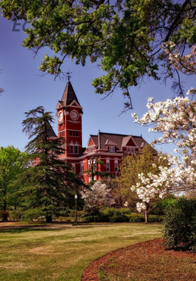 Ecstasy At Roseteak Mansion