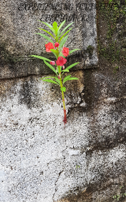 Experiencing Divinity Everywhere