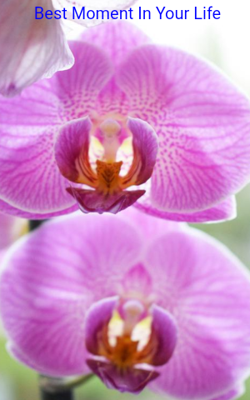 Best Moment In Your Life