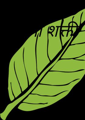 स्त्री शक्ती