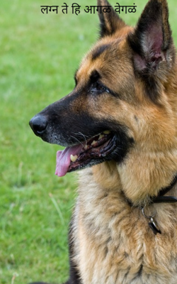 लग्न ते हि आगळ वेगळं