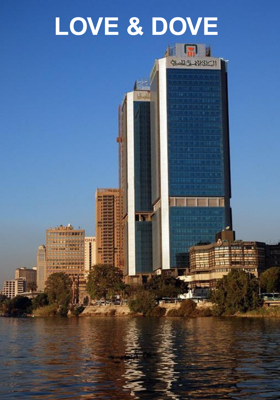LOVE & DOVE