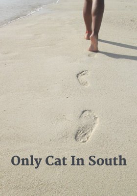 Only Cat In South