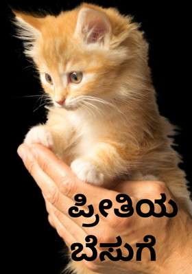 ಪ್ರೀತಿಯ ಬೆಸುಗೆ