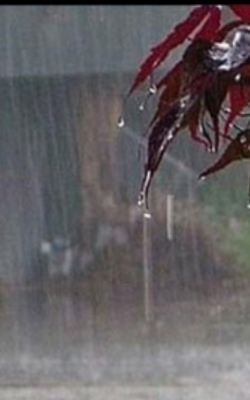 आठवणीतल्या श्रावणसरी