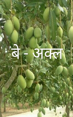 बे - अक्ल