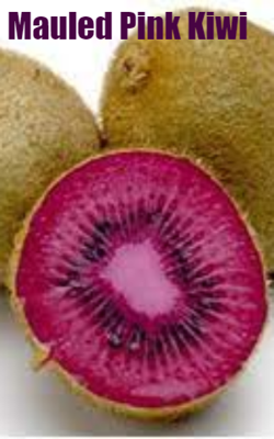 Mauled Pink Kiwi