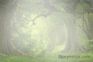 उद्या
उद्याच्या शोधात आजचा दिवस निरर्थक घालवू नये