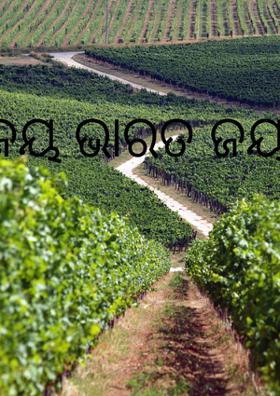 ଜୟ ଭାରତ ଜୟ