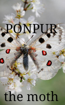 Ponpur,the moth