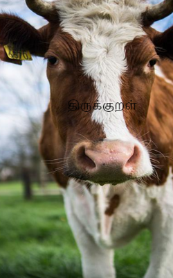 திருக்குறள்