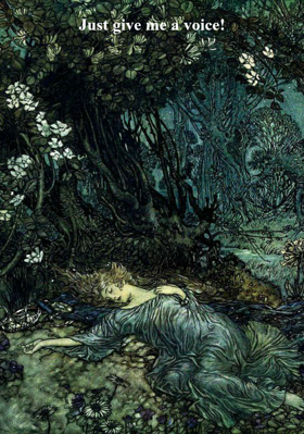 Just Give Me A Voice!