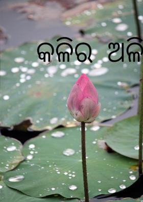 କଳିର  ଅଳି