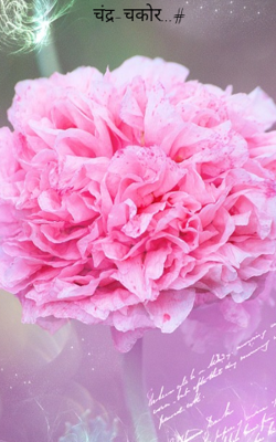 चंद्र-चकोर