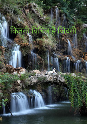 कितनी विचित्र हैं जिंदगी