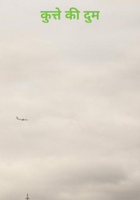 कुत्ते की दुम