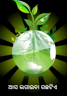 ଆସ ଲଗାଇବା ଗଛଟିଏ