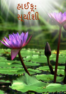 સૂર્યાંશી