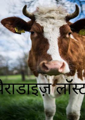 पैराडाइज़ लाॅस्ट