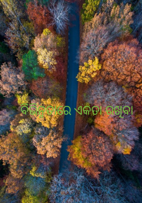 ବିଭିନ୍ନତାରେ ଏକତା ରଖିବା