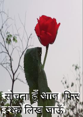 सोचता हूँ आज फिर इश्क़ लिख जाऊँ