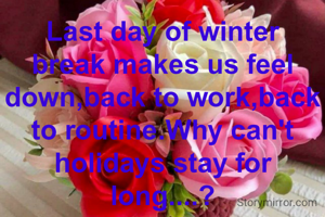 Last day of winter break makes us feel down,back to work,back to routine.Why can't holidays stay for long....?