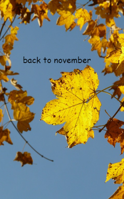 Back To November
