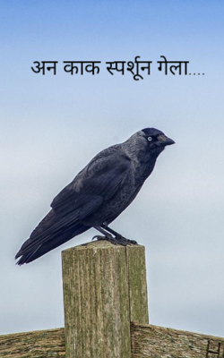 अन काक स्पर्शून गेला....