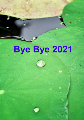 Bye Bye 2021