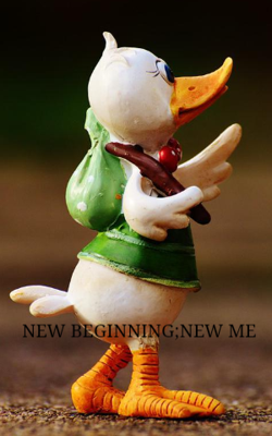 New Begining; New Me