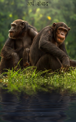 अर्थ  संवाद