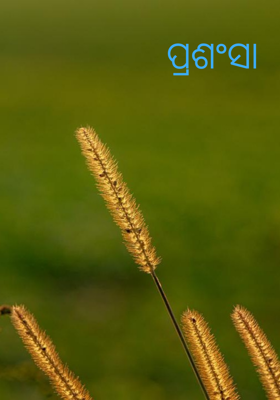 ପ୍ରଶଂସା