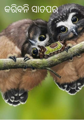 କରିବନି ସାତପର