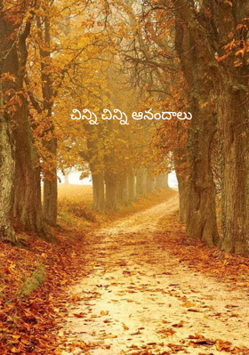 చిన్ని చిన్ని ఆనందాలు 