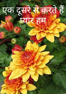 एक दूसरे से करते हैं प्यार हम