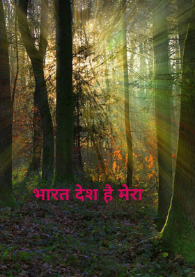 भारत देश है मेरा
