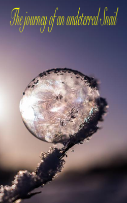 The Journey Of An Undeterred Snail