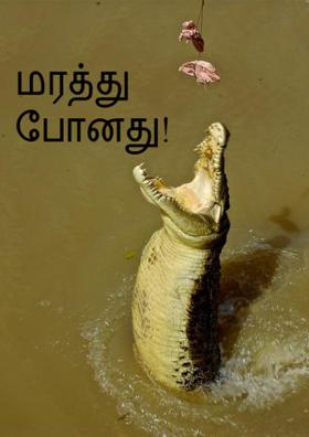 மரத்து போனது!