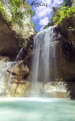 சிறப்பு