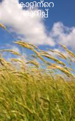 കാറ്റിന്റെ കുറിപ്പ്