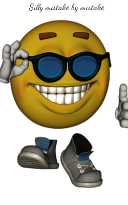 Silly Mistake By Mistake