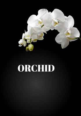 Orchids
