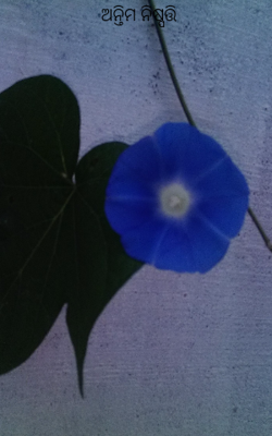 ଅନ୍ତିମ ନିଷ୍ପତ୍ତି