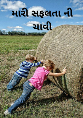 મારી સફળતાની ચાવી