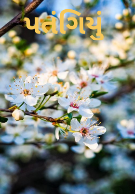 પતંગિયું